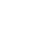 competence-cms-wordpress icone-wordpress